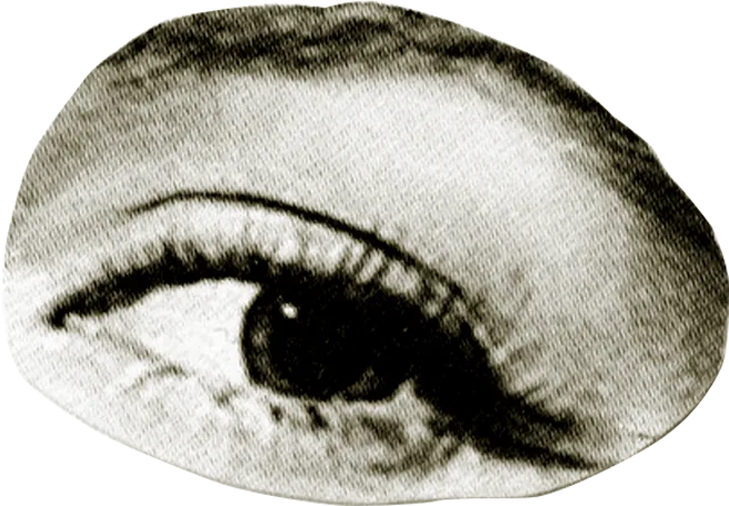 Eye